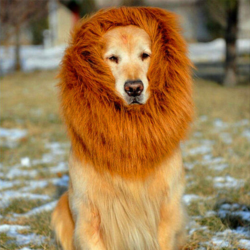 Light Brown Lion Mane Wig for Large Dogs